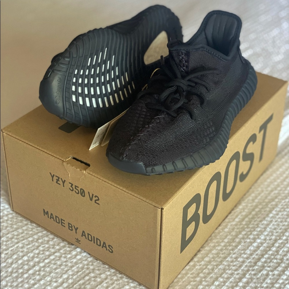 Yeezy Onyx 350
Size 5
Brand New/ DS
price $280